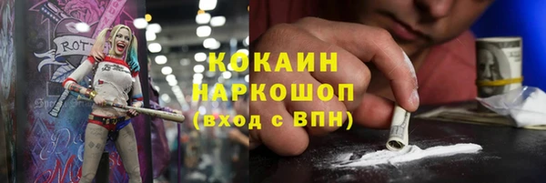 бошки Алексин