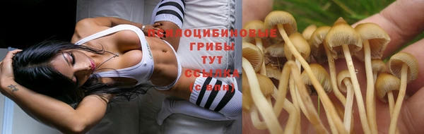 стаф Алексеевка