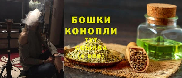 бошки Алексин