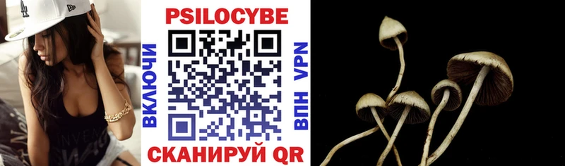Псилоцибиновые грибы Psilocybe  blacksprut ссылка  Олонец 